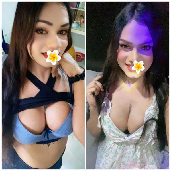 Verified Shemale Cam Show Beautiful Shemale Genuine Live Cam Show Available ❤️😇