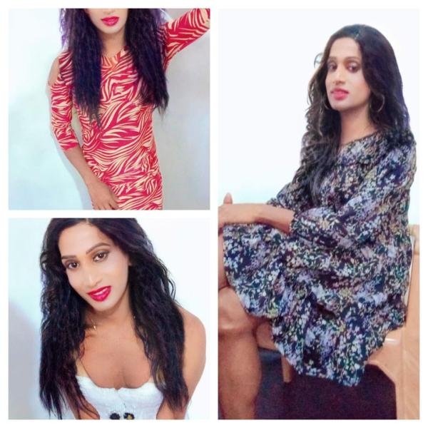 shemel / ලේඩි බෝයි Available minuwangoda Area taniya