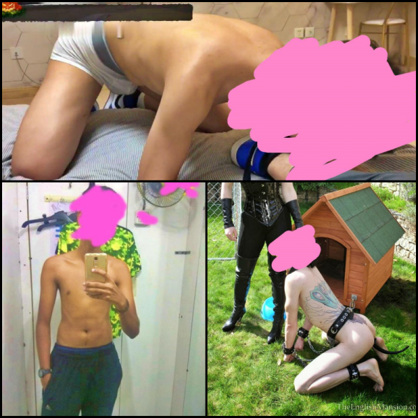 22 years boy for slave service Ladies and Couples only
