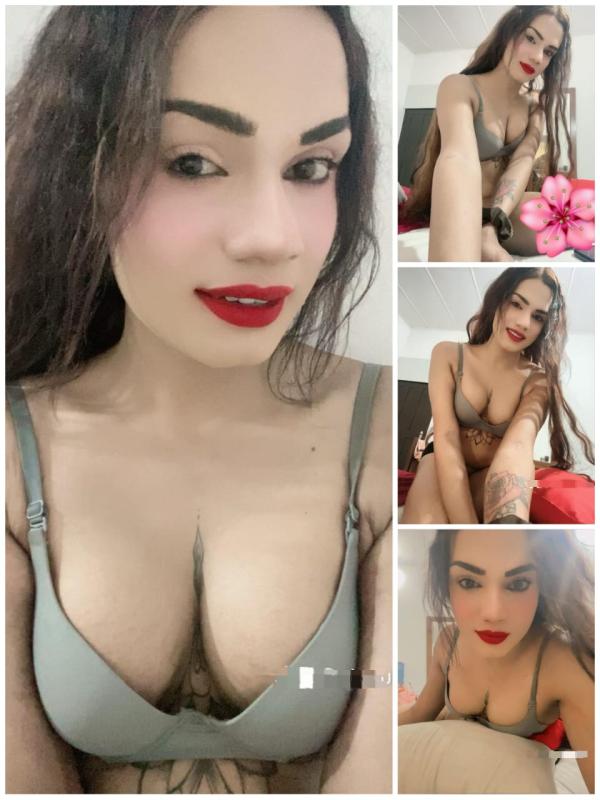 Beautiful Shemale Live Cam Show