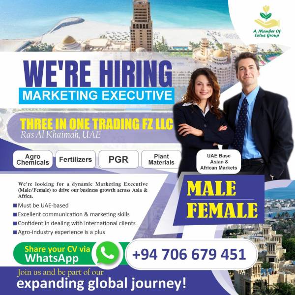 🔥 Marketing Executive Job Vacancy In UAE 🔥