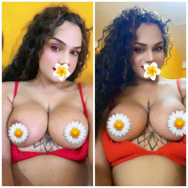 Verified Shemale Cam Show Beautiful Shemale Genuine Live Cam Show Available ❤️😇