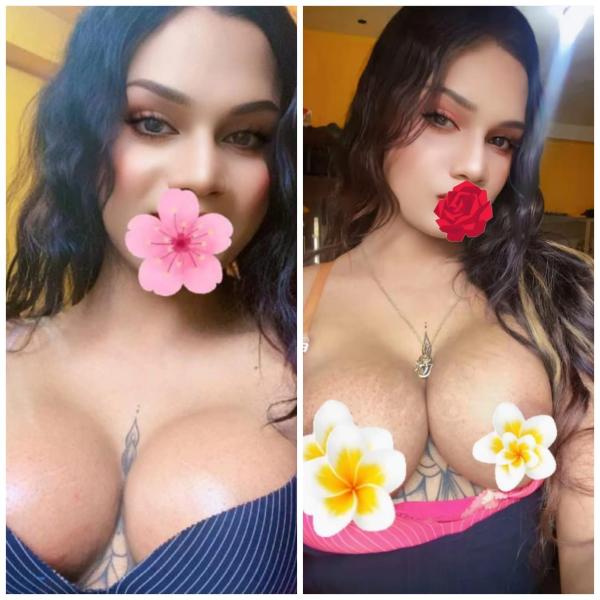 Verified Shemale Cam Show Beautiful Shemale Genuine Live Cam Show Available ❤️😇